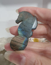 Load image into Gallery viewer, Seahorse Labradorite Crystal Carving
Inspires Transformation and Inner Strength
Labradorite Seahorse Crystal Carving stone.