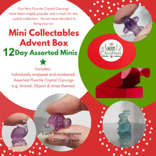 Load image into Gallery viewer, ADVENT CALENDAR 12 DAY mini fluorite ASSORTED Crystal Carvings
