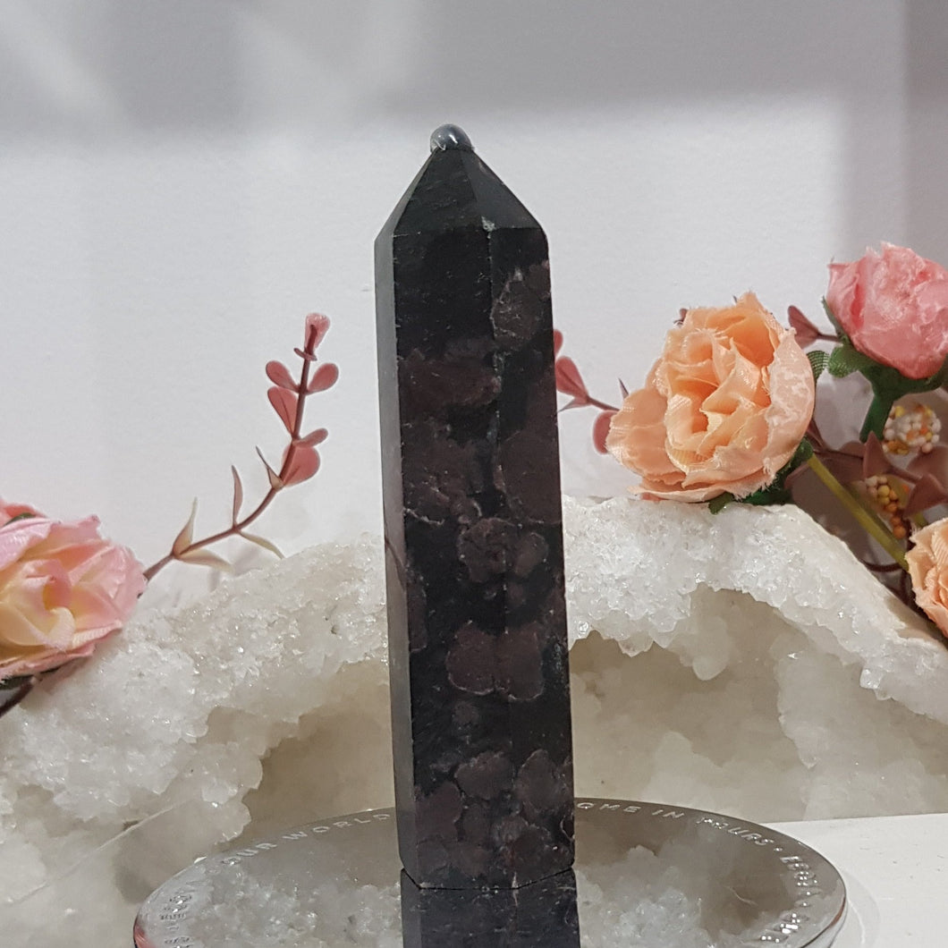 Garnet in Astrophyllite Crystal stone point 90mm 4