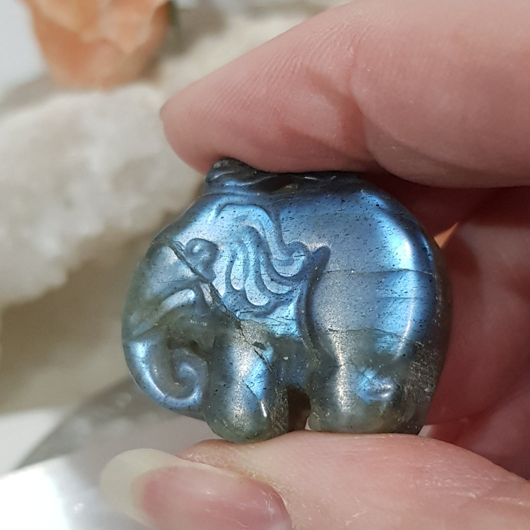 Elephant labradorite crystal carving gemstone 30mm 2