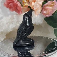 Load image into Gallery viewer, Raven Crow Black Obsidian Crystal Carving Gemstone 50mm 1 HALLOWEEN
