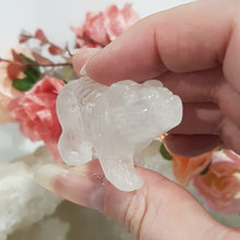 Load image into Gallery viewer, Bear Quartz Crystal Carving Gemstone Stone 45mm 4
