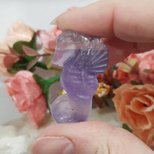 Load image into Gallery viewer, Seahorse fluorite crystal carving gemstone 40mm 2
