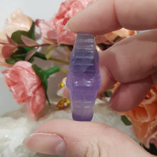 Load image into Gallery viewer, Seahorse fluorite crystal carving gemstone 40mm 2
