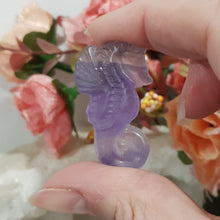 Load image into Gallery viewer, Seahorse fluorite crystal carving gemstone 40mm 2
