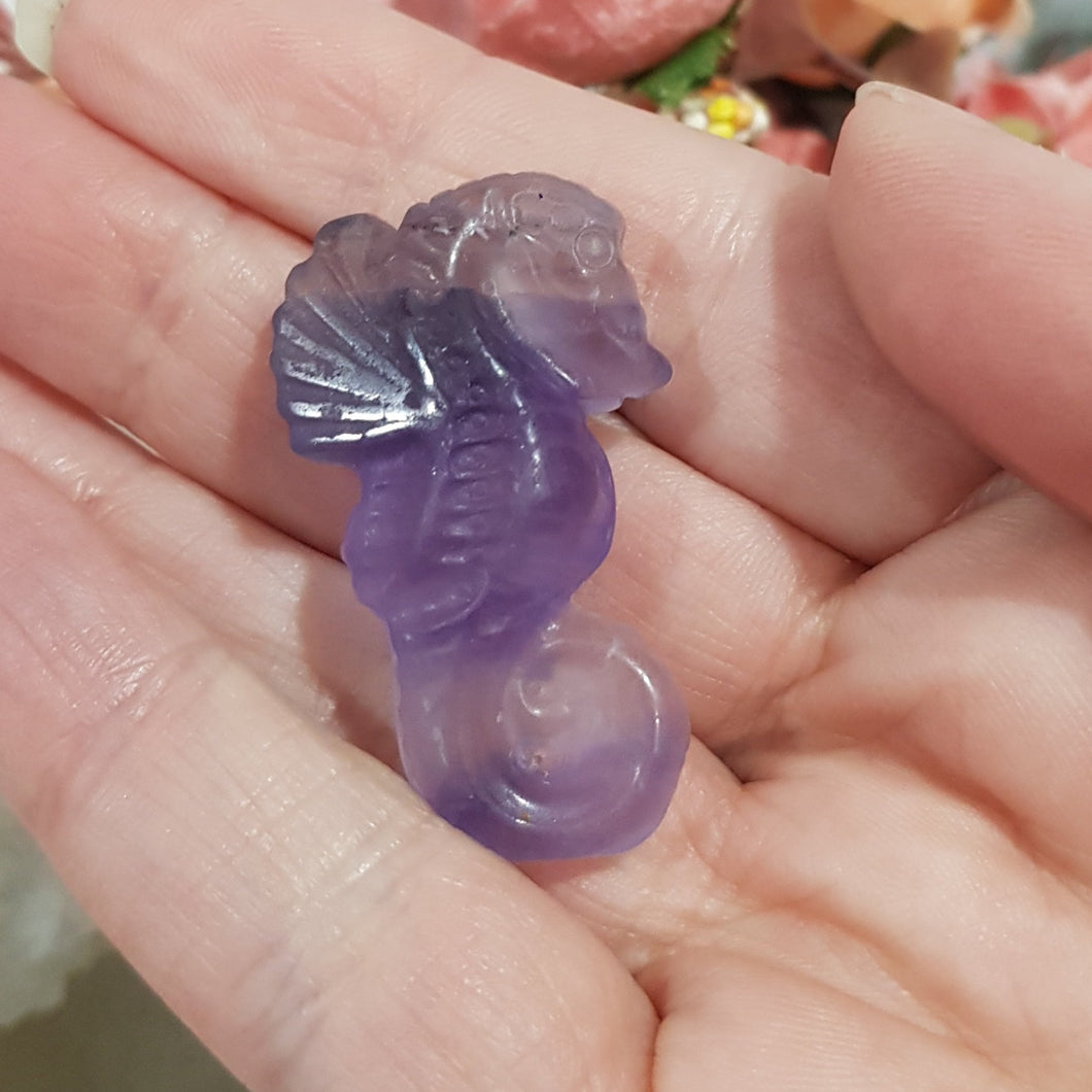 Seahorse fluorite crystal carving gemstone 40mm 2