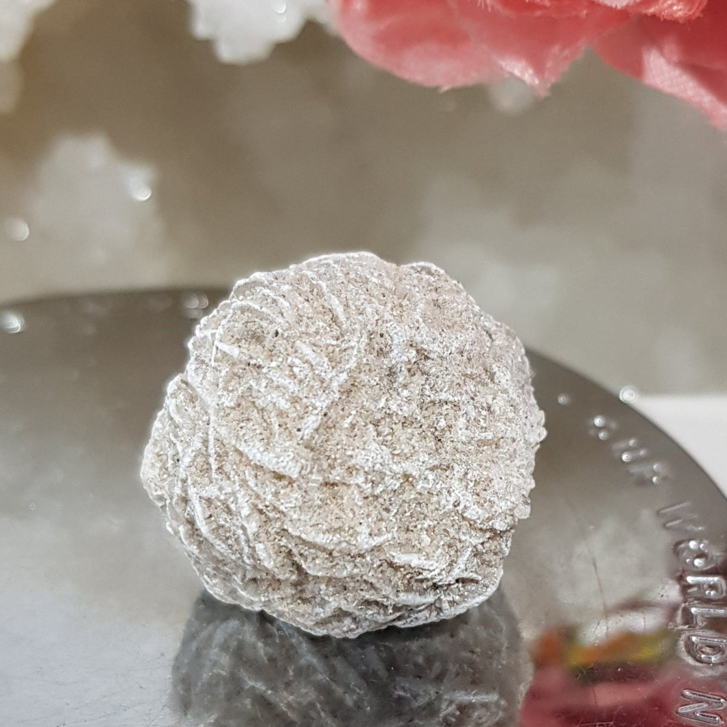 Desert Rose Selenite crystal stone Gemstone Specimen 29mm 7