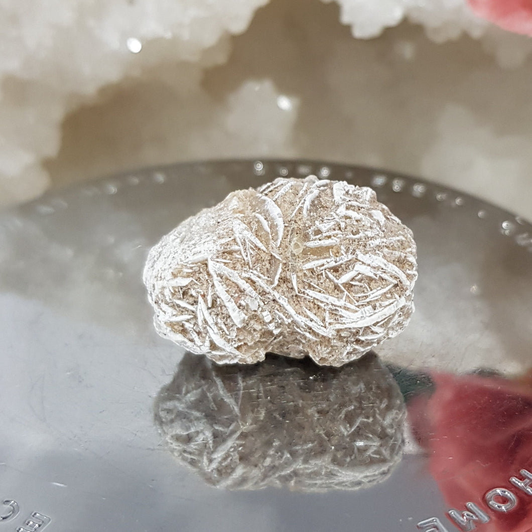 Desert Rose Selenite crystal stone Gemstone Specimen 30mm 6