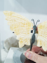 Load image into Gallery viewer, Butterfly Wings on Stand Orange Calcite Crystal carving gemstone stone 130mm 1 SO PRETTY!
