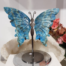 Load image into Gallery viewer, Butterfly Wings on Stand Apatite Crystal carving gemstone stone 120mm 1 INCLUSIONS &amp; DIVITS

