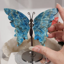 Load image into Gallery viewer, Butterfly Wings on Stand Apatite Crystal carving gemstone stone 120mm 1 INCLUSIONS &amp; DIVITS
