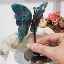 Load image into Gallery viewer, Butterfly Wings on Stand Apatite Crystal carving gemstone stone 120mm 1 INCLUSIONS &amp; DIVITS
