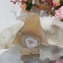 Load image into Gallery viewer, PENGUIN Druzy Agate Crystal Carving Stone 50mm 1  TIny lean
