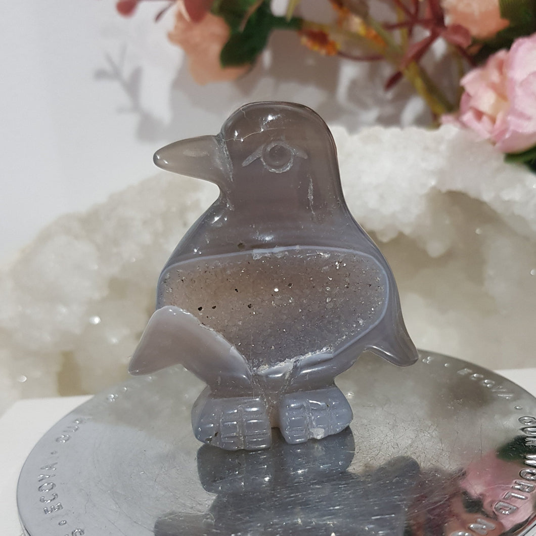 PENGUIN Druzy Agate Crystal Carving Stone 55mm 3