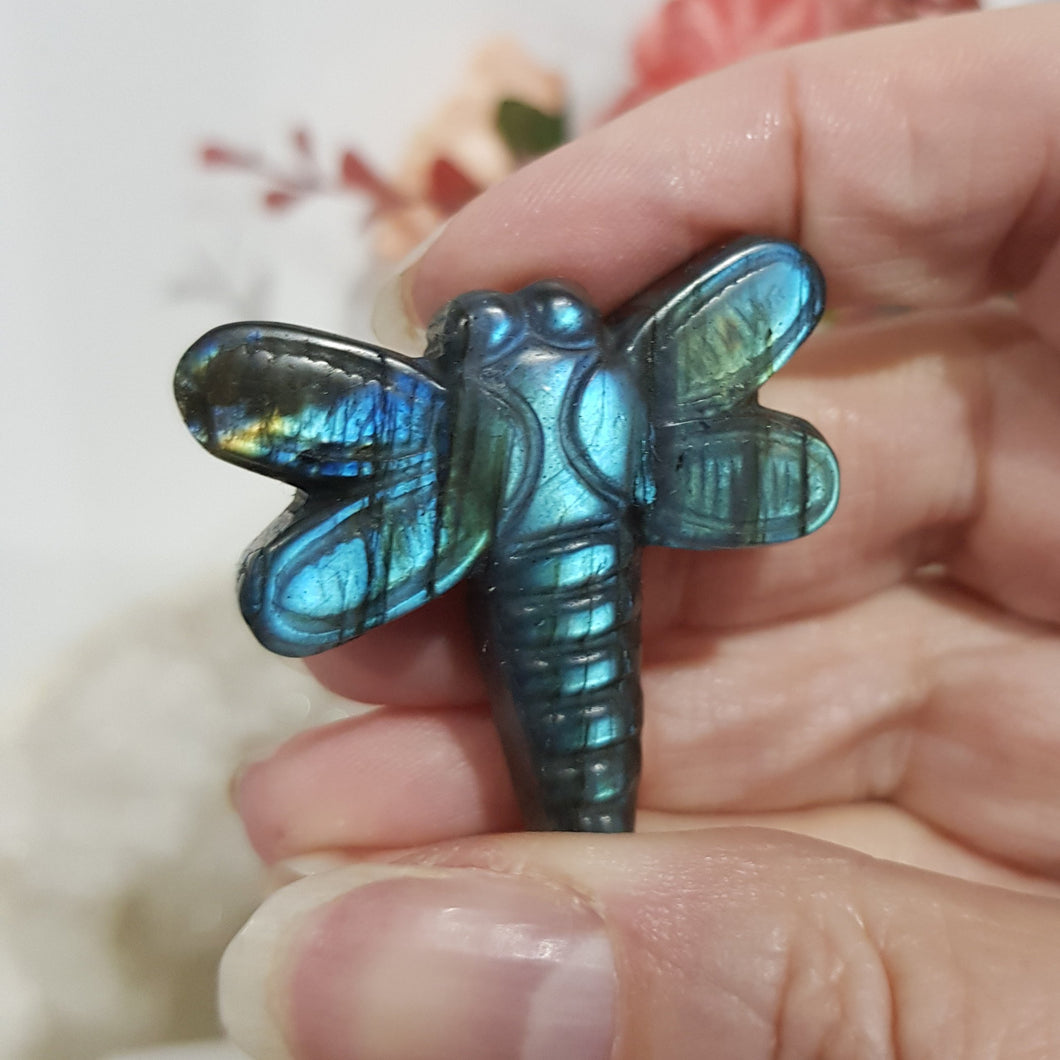 Dragonfly Labradorite Crystal Carving Stone 35mm 1 GREAT FLASH!