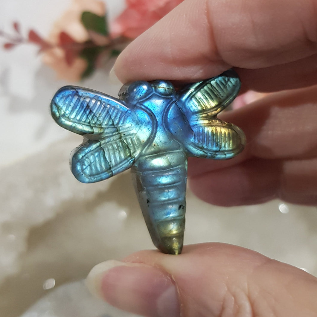 Dragonfly Labradorite Crystal Carving Stone 35mm 2 GREAT FLASH!