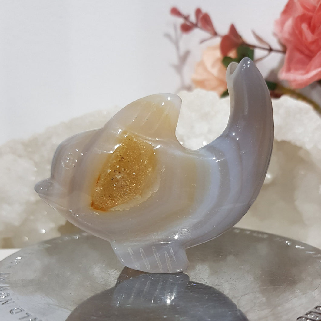 DOLPHIN Druzy Agate Crystal Carving Stone 50mm 3