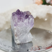 Load image into Gallery viewer, CRYSTAL CREATURE Amethyst Crystal Carving 35mm SUPER CUTE!
