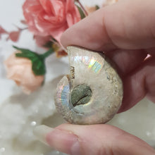 Load image into Gallery viewer, Ammonite fossilised Crystal Stone 34mm 5 RAINBOWS!
