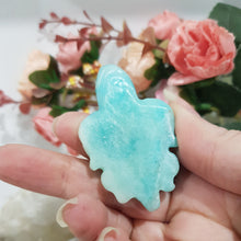 Load image into Gallery viewer, TURTLE Amazonite Crystal Carving Stone 60mm 2 GREAT SHINE!
