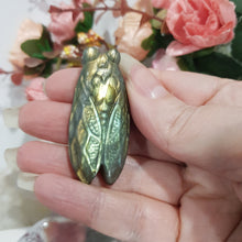 Load image into Gallery viewer, CICADA Labradorite Crystal Carving Stone 50mm 3
