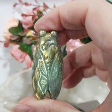 Load image into Gallery viewer, CICADA Labradorite Crystal Carving Stone 50mm 3
