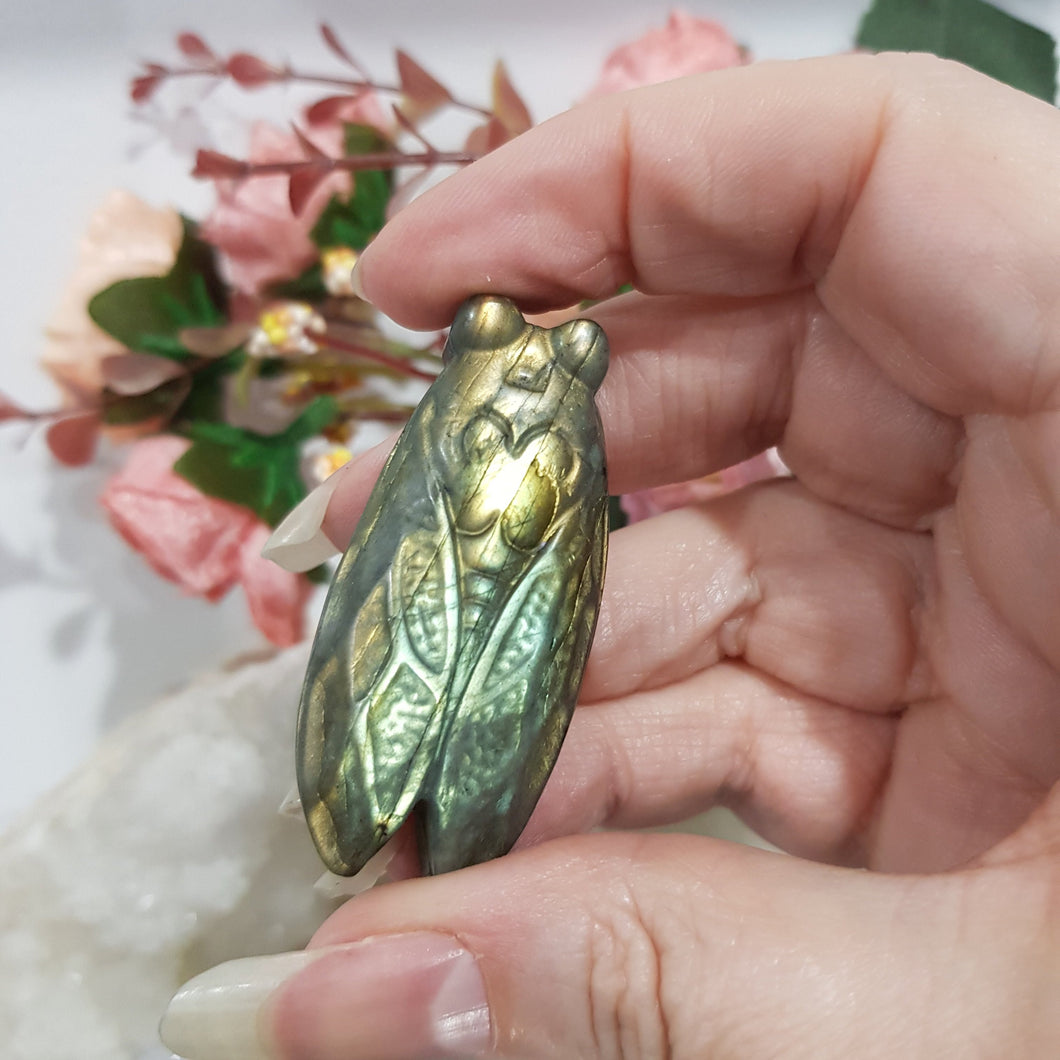 CICADA Labradorite Crystal Carving Stone 50mm 3