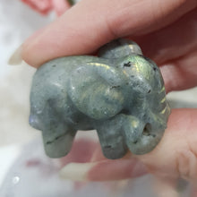 Load image into Gallery viewer, Elephant Labradorite Crystal Carving Stone 35mm 9
