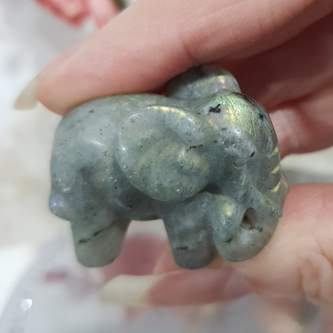 Elephant Labradorite Crystal Carving Stone 35mm 9