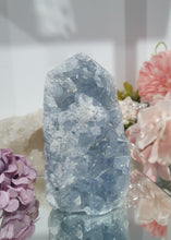 Load image into Gallery viewer, Celestite Crystal Cluster Tower.

Inspires Communication with the Angels

Gorgeous Celestite Crystal Cluster Tower.  


