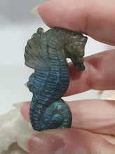 Load image into Gallery viewer, Seahorse Labradorite Crystal Carving

Inspires Transformation and Inner Strength

Labradorite Seahorse Crystal Carving stone. 



