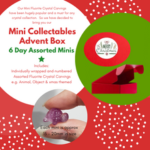 Load image into Gallery viewer, ADVENT CALENDAR 6 DAY mini fluorite ASSORTED Crystal Carvings xmas
