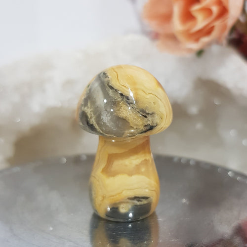 mushroom-crazy-lace-crystal-carving-stone
