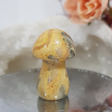 Load image into Gallery viewer, mushroom-crazy-lace-crystal-carving-stone

