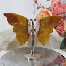 Load image into Gallery viewer, mini-butterfly-wings-on-stand-mexican-agate

