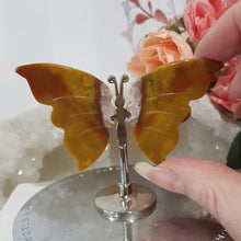 Load image into Gallery viewer, mini-butterfly-wings-on-stand-mexican-agate
