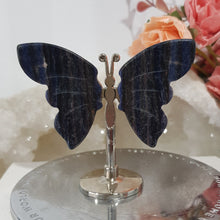 Load image into Gallery viewer, mini-sodalite-butterfly-wings
