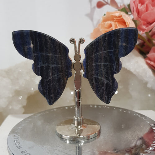 mini-sodalite-butterfly-wings