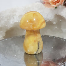Load image into Gallery viewer, mushroom-crazy-lace-crystal-carving-stone

