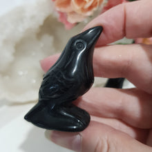 Load image into Gallery viewer, raven-crow-crystal-carving-stone-black-obsidian-moonlight-crystals-australia-online-store-melbourne-australia
