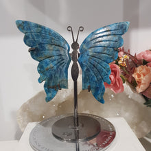 Load image into Gallery viewer, Butterfly Wings on Stand Apatite Crystal carving gemstone stone 120mm 6
