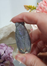 Load image into Gallery viewer, Cicada Labradorite Crystal Carving

Inspires Transformation and Inner Strength

Lovely Labradorite Cicada Crystal Carving stone. 
