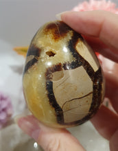 Load image into Gallery viewer, Septarian (Dragon Stone) Egg Crystal Carving Stone on Stand.

Grounds &amp; Nurtures

Beautiful Polished Septarian Egg Crystal Carving on plastic stand. Has natural divits formations. Madagascar sourced.

Known as the Dragon Stone. Formed 70 million years ago from volcanic mud and sea life. These polished egg shaped feature cracked patterns of yellow Calcite, brown Aragonite and grey Limestone.The egg shape symbolises new beginnings, the "unfolding of energy from within,".
