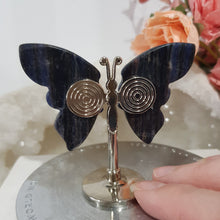Load image into Gallery viewer, mini-sodalite-butterfly-wings
