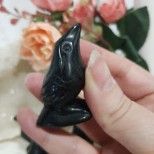 Load image into Gallery viewer, raven-crow-crystal-carving-stone-black-obsidian-moonlight-crystals-australia-online-store-melbourne-australia
