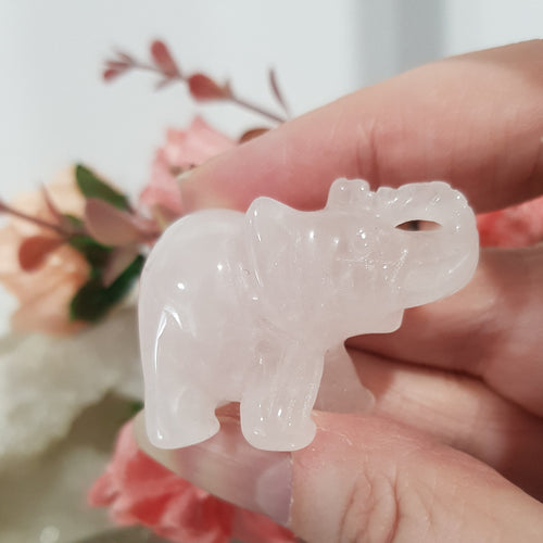 elephant Rose Quartz Crystal