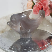Load image into Gallery viewer, DOLPHIN Druzy Agate Crystal Carving Stone 50mm 5
