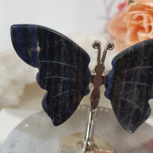 Load image into Gallery viewer, mini-sodalite-butterfly-wings
