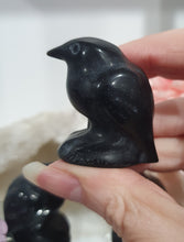 Load image into Gallery viewer, Raven Crow Black Obsidian Crystal Carving Stone.

Protection and Balance

Beautiful polished Black Obsidian Raven / Crow Crystal Carving Stone.  Inspires Protection and Balance
