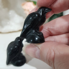 Load image into Gallery viewer, raven-crow-crystal-carving-stone-black-obsidian-moonlight-crystals-australia-online-store-melbourne-australia
